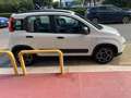 Fiat Panda III 2021 1.0 firefly hybrid City Life s Blanc - thumbnail 4