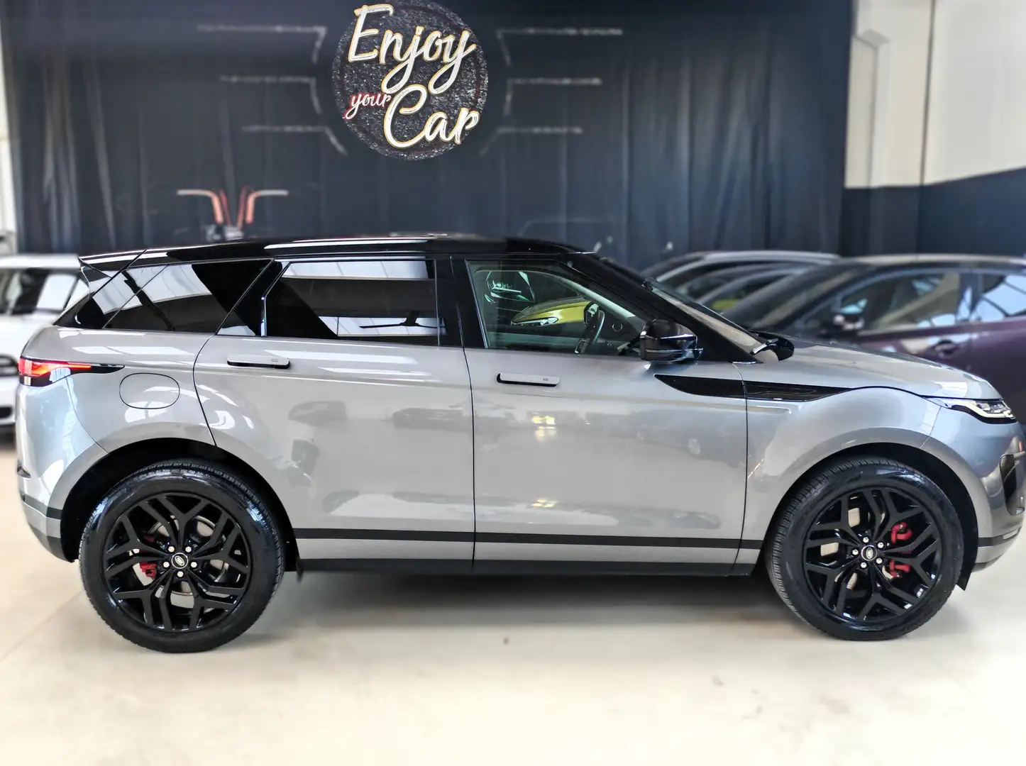 Land Rover Range Rover Evoque 2.0D I4 MHEV AUTO SE AWD 163 CV AUTOCARRO N1 Grigio - 2
