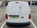 Volkswagen Caddy Furgón 2.0TDI 75kW Blanco - thumbnail 8