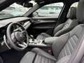 Alfa Romeo Stelvio MY24-VELOCE 2.0 Turbo 16V 206kW (280 PS) Grau - thumbnail 12