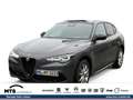 Alfa Romeo Stelvio MY24-VELOCE 2.0 Turbo 16V 206kW (280 PS) Grau - thumbnail 1