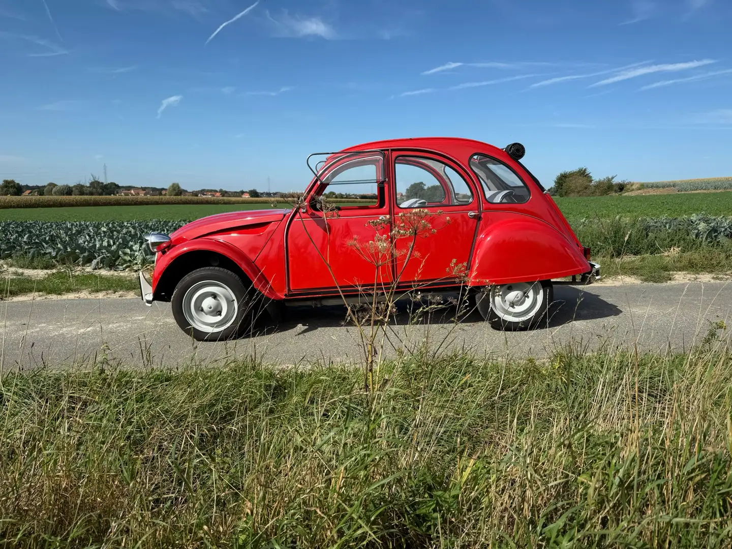 Citroen 2CV Rouge - 1
