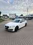 BMW 520 520 d Weiß - thumbnail 3
