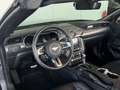 Ford Mustang GT 5.0 Convertible *MagneRide*1.Hand*B&O Gris - thumbnail 14