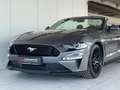 Ford Mustang GT 5.0 Convertible *MagneRide*1.Hand*B&O Gris - thumbnail 11