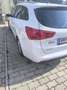 Kia Ceed SW / cee'd SW cee'd SW 1,4 CRDi Cool Cool Weiß - thumbnail 5