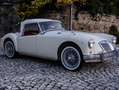 MG MGA Bianco - thumbnail 2