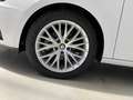 SEAT Leon 1.4 TGI 5p. Business HIGH  DSG Bianco - thumbnail 13