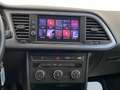 SEAT Leon 1.4 TGI 5p. Business HIGH Bianco - thumbnail 10