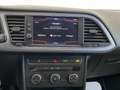 SEAT Leon 1.4 TGI 5p. Business HIGH Bianco - thumbnail 11