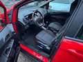 Ford B-Max B-MAX Trend Zahnriemen und Service Neu Rouge - thumbnail 6