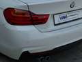 BMW 420 420d M-Paket Coupe Aut. NAVI/AHK Weiß - thumbnail 17