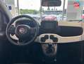 Fiat Panda Classic 1.0 70ch BSG S\u0026S Pandina crvena - thumbnail 15