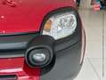 Fiat Panda Classic 1.0 70ch BSG S\u0026S Pandina crvena - thumbnail 13