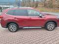 Subaru Forester 2.0ie Active Lineartronic Rot - thumbnail 17