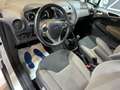 Ford Tourneo Courier 1.5 TDCI 75 CV Plus Bianco - thumbnail 10