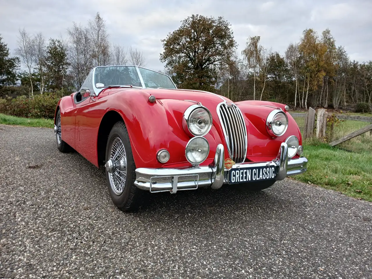 Jaguar XK 140 OTS Roadster MC, foto 7