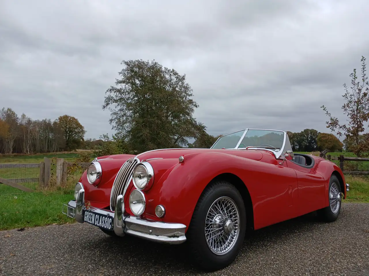 Jaguar XK XK 1955