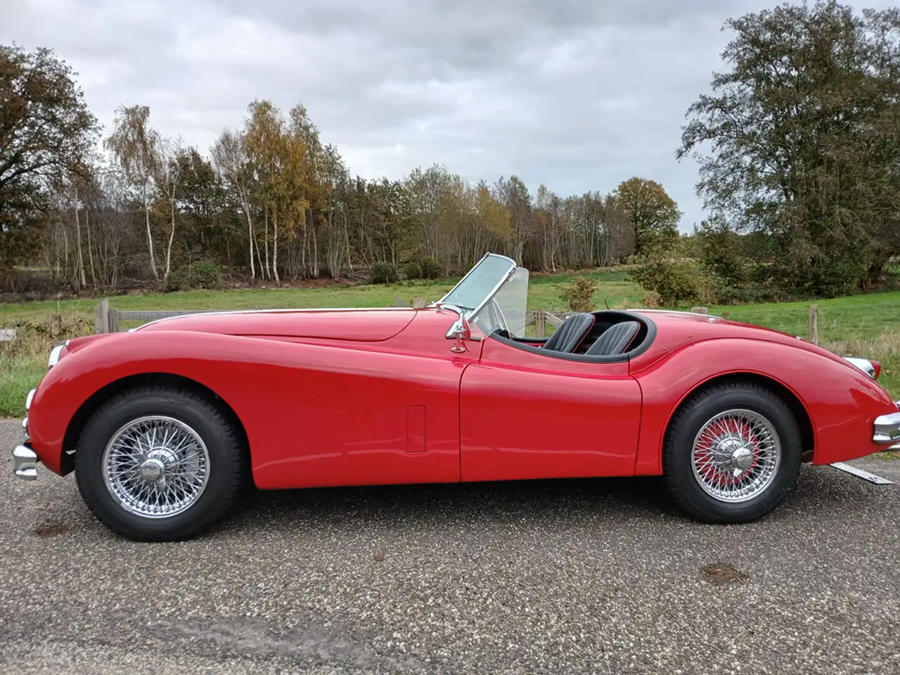 Jaguar XK 140 OTS Roadster MC, foto 2