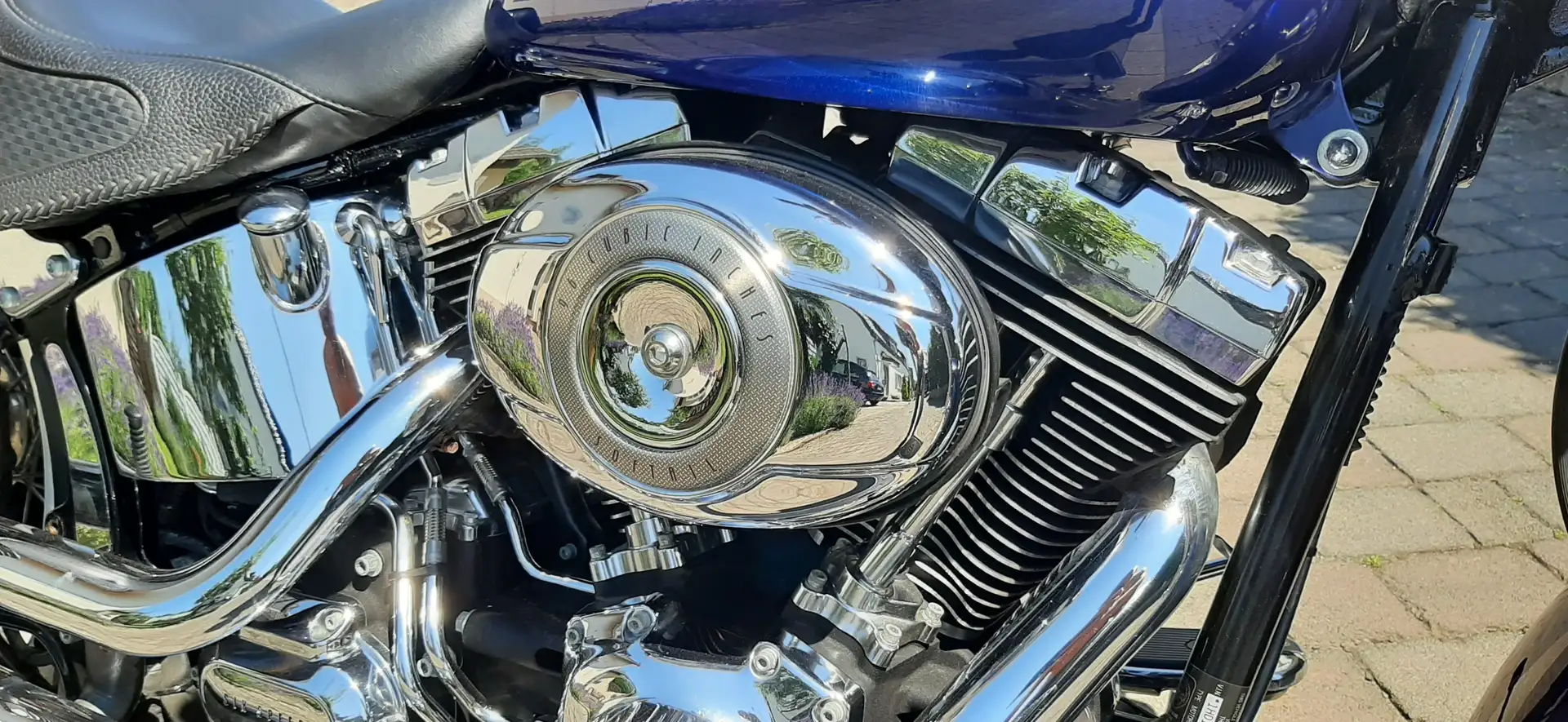 Harley-Davidson Deluxe FLSTN Blau - 2