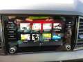 Skoda Karoq Sportline 4x4 TSI DSG AHZV Navi Grau - thumbnail 14