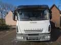 Trucks-Lkw Iveco EuroCargo ML90E18 Blanc - thumbnail 2