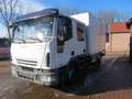 Trucks-Lkw Iveco EuroCargo ML90E18 Blanc - thumbnail 3