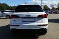 Audi Q5 40 TDI S-Line quattro s-tronic LED ACC Navi Blanc - thumbnail 4