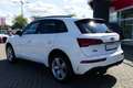 Audi Q5 40 TDI S-Line quattro s-tronic LED ACC Navi Blanc - thumbnail 3