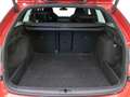 Skoda Octavia Combi 2.0 TSI RS DSG7 195kW Rojo - thumbnail 25