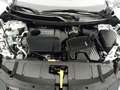 Nissan X-Trail 5pl 1.5T VC 120kW MHEV 4x2 N-Connecta Blanco - thumbnail 30