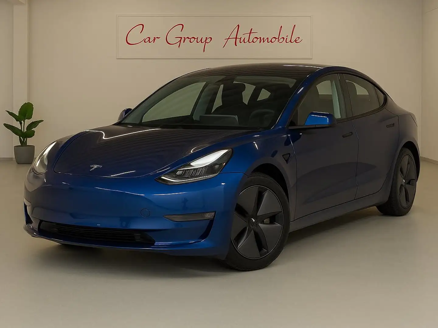 Tesla Model 3 Model 3 RWD Standard Plus Blue - 1