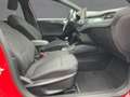 Ford Focus Turnier 1.0 Hybrid ACTIVE X LED+NAVI+AHK Rot - thumbnail 12