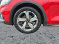 Ford Focus Turnier 1.0 Hybrid ACTIVE X LED+NAVI+AHK Rot - thumbnail 8