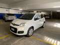 Fiat New Panda 0.9 Twin Air - thumbnail 1