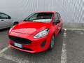 Ford Fiesta Fiesta VII 2017 5p 5p 1.5 tdci Vignale 85cv - thumbnail 3