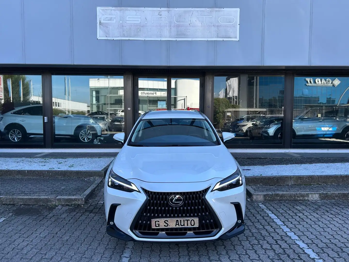 Lexus NX 350h 2.5 Premium+ 4wd e-cvt Bianco - 2