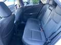 Lexus NX 350h 2.5 Premium+ 4wd e-cvt Bianco - thumbnail 15