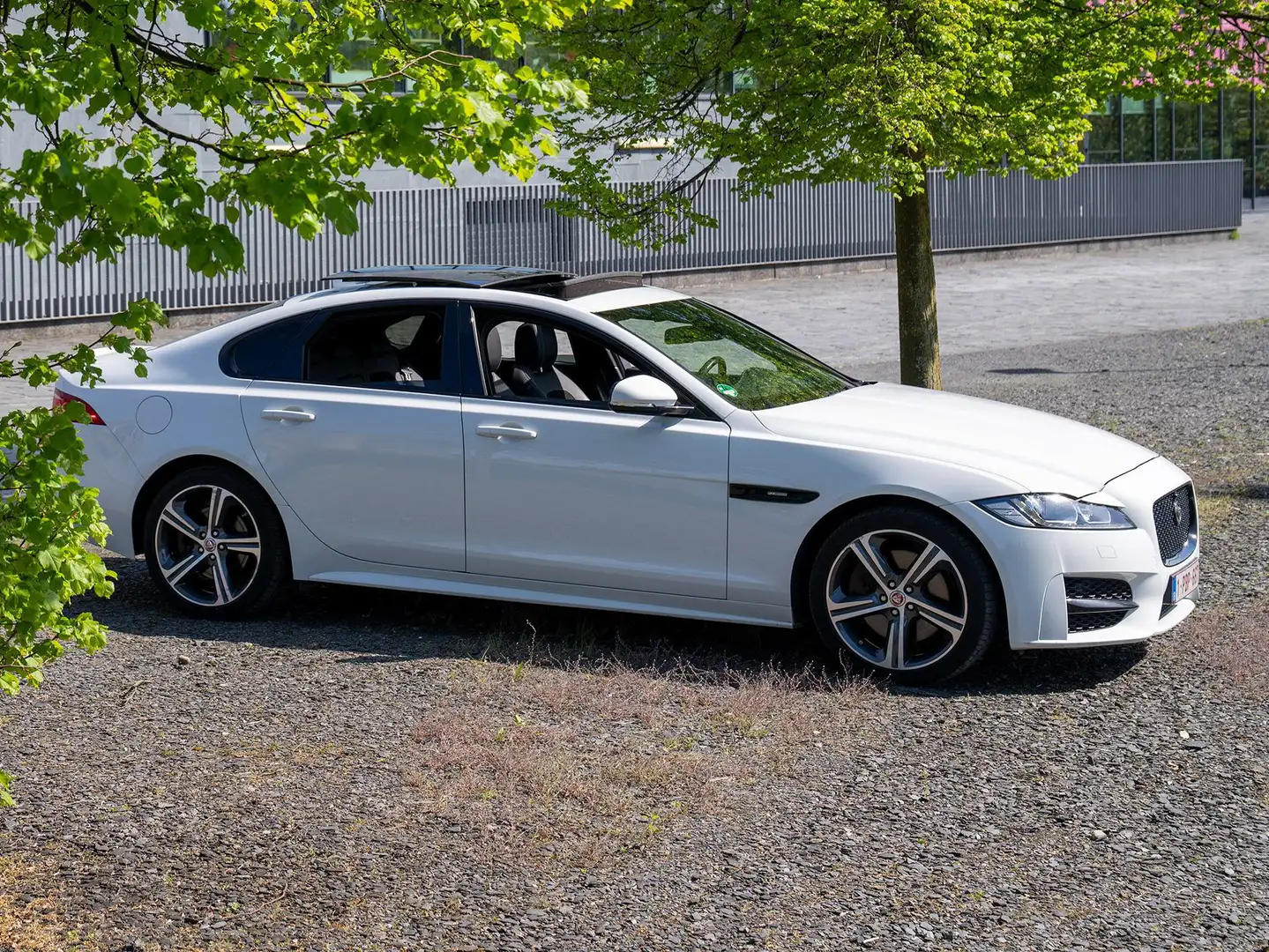 Jaguar XF XF 35t R-Sport Blanc - 1