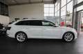 Skoda Superb Combi Style/Business Columbus/ACC/AHK Weiß - thumbnail 4