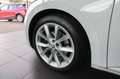 Skoda Superb Combi Style/Business Columbus/ACC/AHK Weiß - thumbnail 30