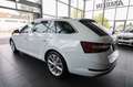 Skoda Superb Combi Style/Business Columbus/ACC/AHK Weiß - thumbnail 7