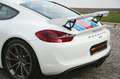 Porsche Cayman 981 Cayman GT4 **BRD/Approved/ufrei** Blanc - thumbnail 32