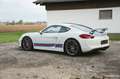 Porsche Cayman 981 Cayman GT4 **BRD/Approved/ufrei** Blanc - thumbnail 7