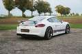 Porsche Cayman 981 Cayman GT4 **BRD/Approved/ufrei** Blanc - thumbnail 10