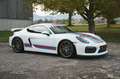 Porsche Cayman 981 Cayman GT4 **BRD/Approved/ufrei** Blanc - thumbnail 13