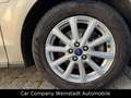 Ford S-Max S-MAX Titanium Grau - thumbnail 16