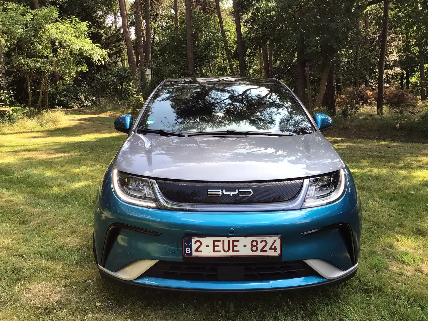 BYD Dolphin DOLPHIN Design Синій - 2