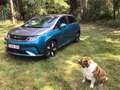BYD Dolphin DOLPHIN Design Синій - thumbnail 12