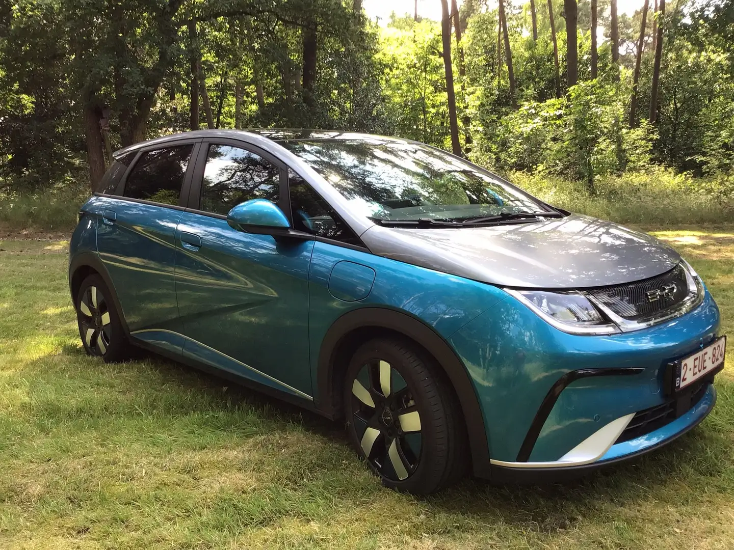 BYD Dolphin DOLPHIN Design Синій - 1